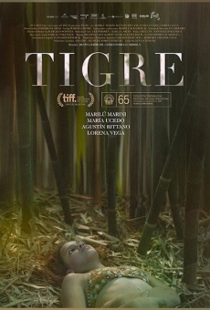 Tigre en ligne gratuit