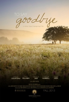 Ver película To Say Goodbye