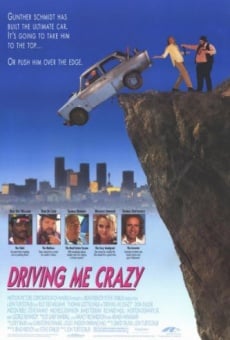 Driving Me Crazy en ligne gratuit