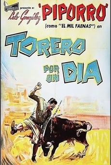 Torero por un día