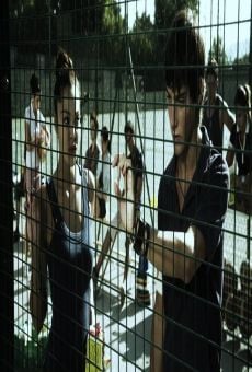 Tormenta online streaming