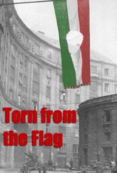 Torn from the Flag: A Film by Klaudia Kovacs online kostenlos