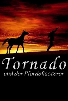 Tornado and the Kalahari Horse Whisperer