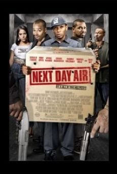 Next Day Air online streaming