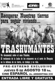 Película: Trashumantes