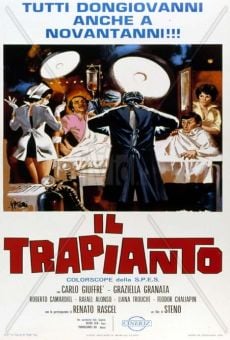 Ver película Trasplante a la italiana