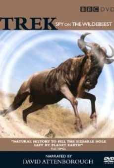 Trek: Spy on the Wildebeest en ligne gratuit