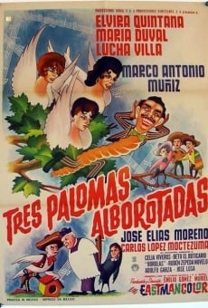 Ver película Tres palomas alborotadas