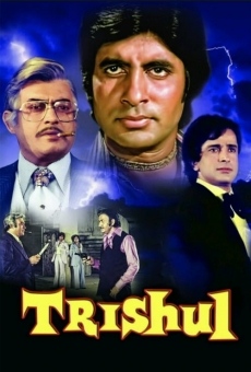 Ver película Trishul