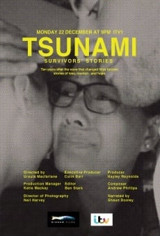 Watch Tsunami: Survivors' Stories online stream