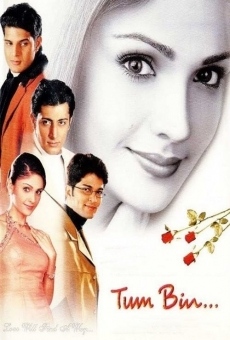 Tum Bin...: Love Will Find a Way stream online deutsch