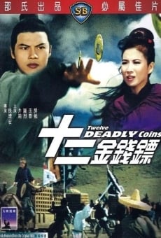 Watch Shi er jin qian biao online stream