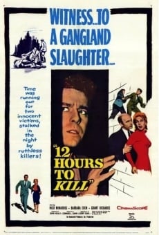 Twelve Hours to Kill en ligne gratuit