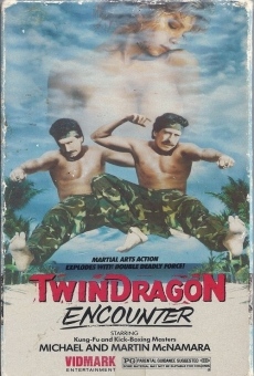 Ver película Encuentro de dragones gemelos