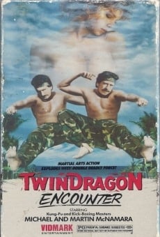 Twin Dragon Encounter online