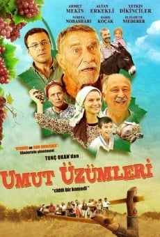 Umut Üzümleri gratis