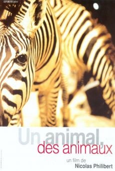 Un animal, des animaux