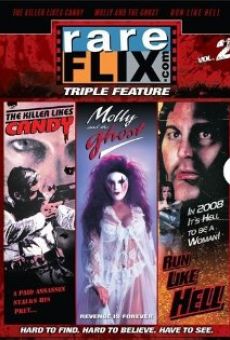 Un killer per sua maestà online streaming