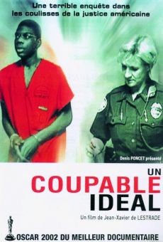 Un coupable idéal online streaming