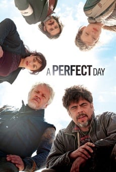 Película: Un día perfecto