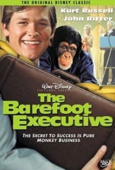 The Barefoot Executive stream online deutsch