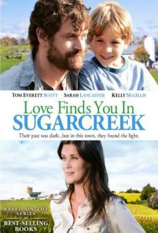 Watch Love Finds You in Sugarcreek, Ohio online stream