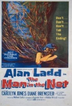 The Man in the Net online kostenlos