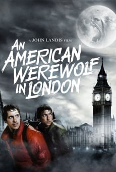 Un lupo mannaro americano a Londra online streaming