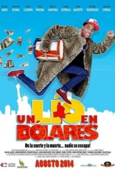 Ver película Un lío en dólares