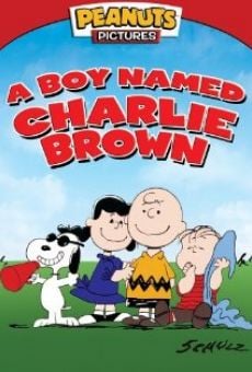 Ver película Un niño llamado Charlie Brown