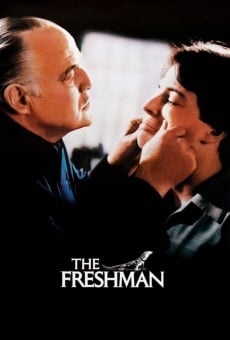 The Freshman en ligne gratuit