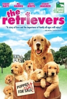 Ver película Un retriever y seis más