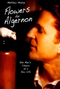 Flowers For Algernon online kostenlos