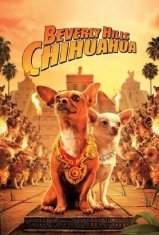 Una chihuahua de Beverly Hills online