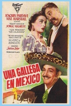 Una gallega en México stream online deutsch