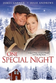 One Special Night online kostenlos