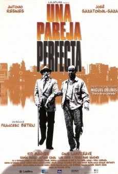 Una pareja perfecta online streaming