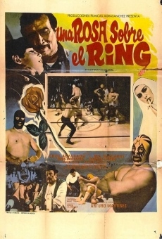 Ver película Una rosa sobre el ring