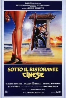 Sotto il ristorante cinese online