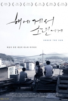 Under the Sun online streaming