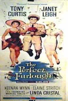 The Perfect Furlough on-line gratuito