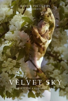 Ver película Velvet Sky