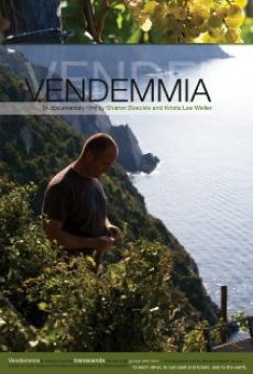 Watch Vendemmia online stream
