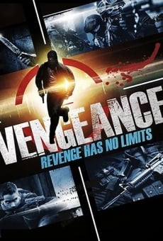 Ver película Vengeance