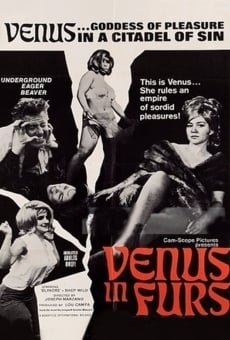 Ver película Venus en pieles