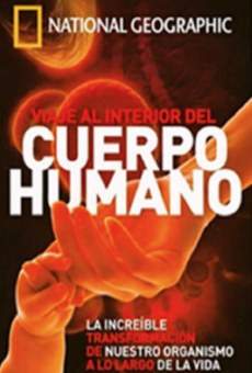 Ver película Viaje al Interior del Cuerpo Humano