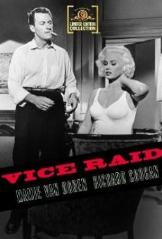 Vice Raid online kostenlos