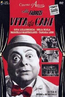 Vita da cani