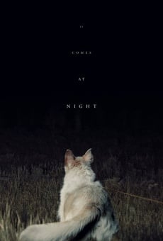 It Comes at Night online