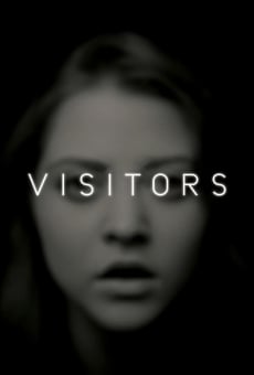 Ver película Visitors